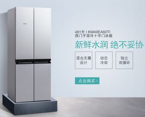 国美520 悦享鲜活 净享人生,西门子冰洗节满千返百